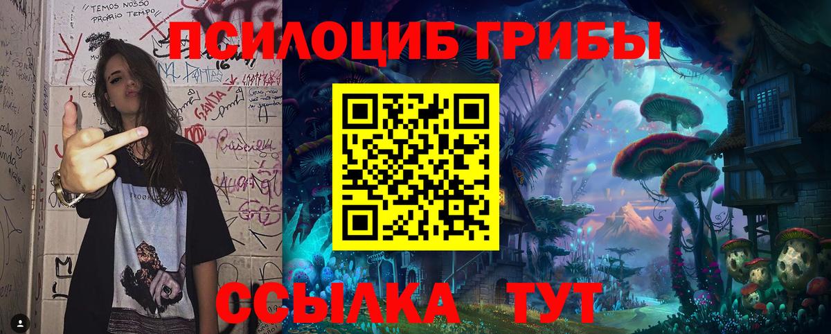 Галлюциногенные грибы Magic Shrooms  Вход с VPN  Вичуга  Галлюциногенные грибы ЛСД 