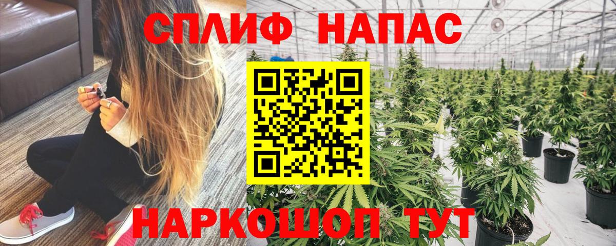 Бошки марихуана гибрид  Марихуана индика  Каннабис планчик  Вход с VPN  Шишки марихуана конопля  Вичуга 